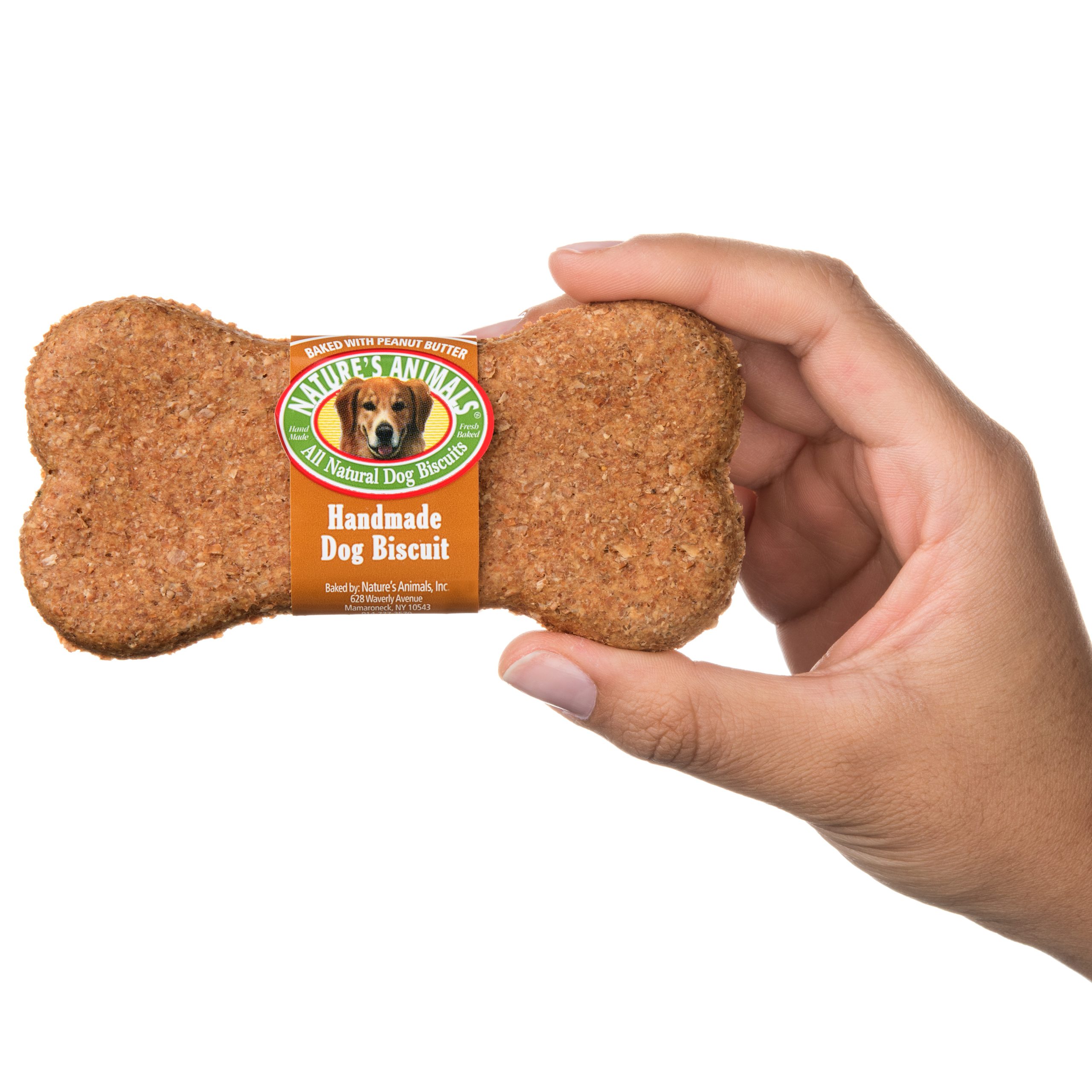 A hand model holding a dog treat on a white background.